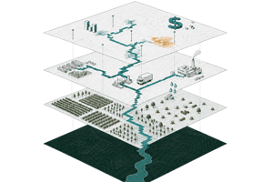 Natcap Layer Graphic Large