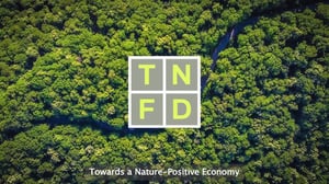 What is TNFD